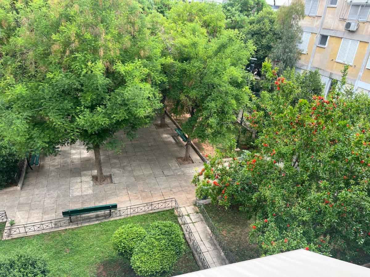 Zen Apartament